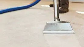 Carpet cleaning wand head gliding over a light carpet during hot-water extraction, Charlotte, NC.