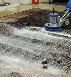Professional rug cleaning with a rotary floor machine and shampoo foam, deep-cleaning an area rug Charlotte, NC.